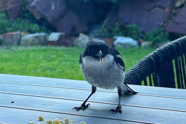 WhatsApp Image 2024-09-10 at 17.37.54_bd72da90